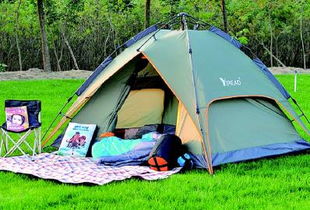 明媚春光催熱大慶踏青經濟，戶外用品旺銷垂釣配件成亮點